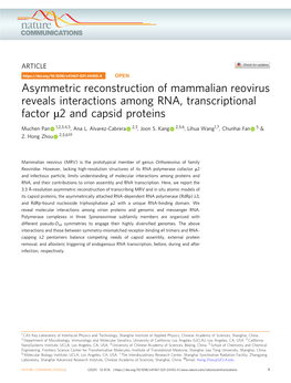 Asymmetric Reconstruction of Mammalian Reovirus Reveals Interactions Among RNA, Transcriptional Factor Μ2 and Capsid Proteins