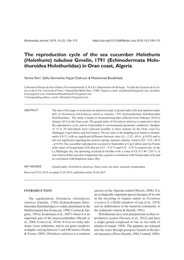 The Reproduction Cycle of the Sea Cucumber Holothuria (Holothuria) Tubulosa Gmelin, 1791 (Echinodermata Holo- Thuroidea Holothuriidae) in Oran Coast, Algeria