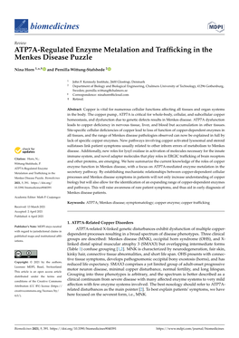 ATP7A-Regulated Enzyme Metalation and Trafficking in the Menkes