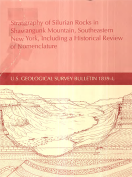 Stratigraphy of Silurian Rocks in Shawangunk Mountain, Southeastern New York, Including a Historical Review of Nomenclature