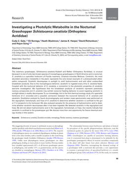 Investigating a Photolytic Metabolite in the Nocturnal Grasshopper Schistocerca Ceratiola (Orthoptera