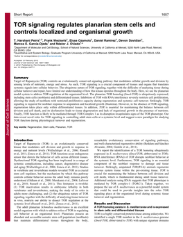 TOR Signaling Regulates Planarian Stem Cells and Controls Localized and Organismal Growth