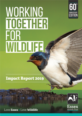 Impact Report 2019