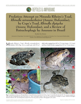 Cfreptiles & Amphibians