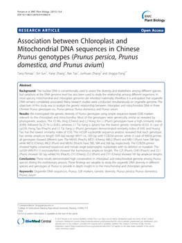Association Between Chloroplast and Mitochondrial DNA Sequences In