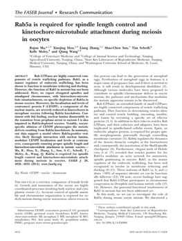 Rab5a Is Required for Spindle Length Control and Kinetochore-Microtubule Attachment During Meiosis in Oocytes