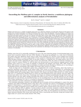 Unravelling the Phellinus Pini Sl Complex in North America