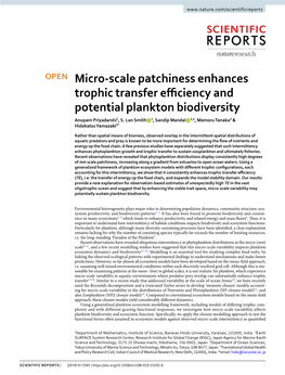 Micro-Scale Patchiness Enhances Trophic Transfer Efficiency And