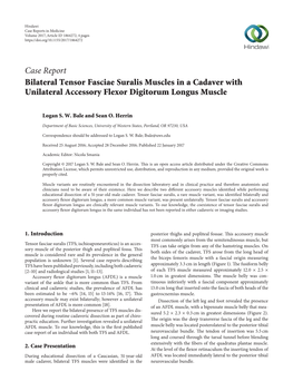 Bilateral Tensor Fasciae Suralis Muscles in a Cadaver with Unilateral Accessory Flexor Digitorum Longus Muscle