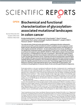 Biochemical and Functional Characterization of Glycosylation