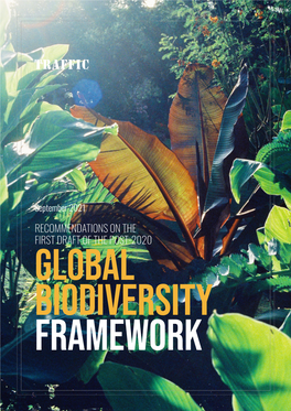 RECOMMENDATIONS on the FIRST DRAFT of the POST-2020 GLOBAL BIODIVERSITY FRAMEWORK a Wild Harvester in Bắc Kạn Province, Viet Nam