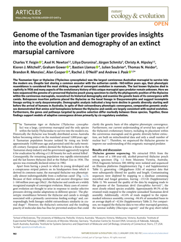 Genome of the Tasmanian Tiger Provides Insights Into the Evolution and Demography of an Extinct Marsupial Carnivore