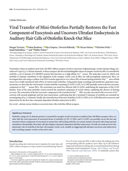 Viral Transfer of Mini-Otoferlins Partially Restores the Fast