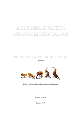 Accompagnateur Moyenne Montagne