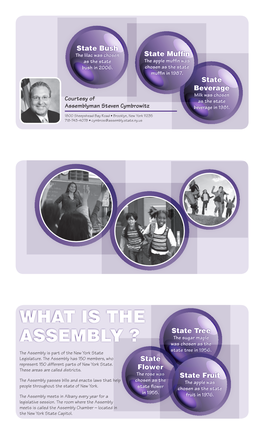 What Is the Assembly ?