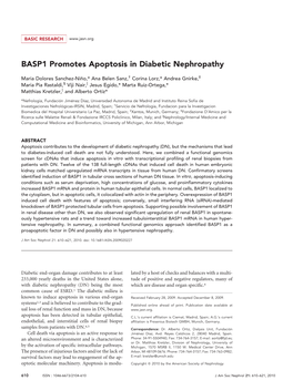 BASP1 Promotes Apoptosis in Diabetic Nephropathy
