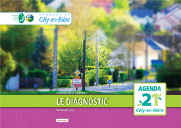 LE DIAGNOSTIC Novembre 2012 AVERTISSEMENT