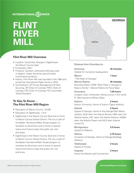 Flint River Mill Overview