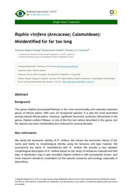 Raphia Vinifera (Arecaceae ; Calamoideae)