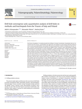 Drill Hole Convergence and a Quantitative Analysis of Drill Holes in Mollusks and Brachiopods from the Triassic of Italy and Poland