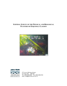 Subtidal Survey of the Physical and Biological Features of Esquimalt Lagoon