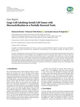 Large Cell Calcifying Sertoli Cell Tumor with Macrocalcification in a Partially Resected Testis