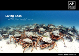 Living Seas the Wildlife Trusts' Vision