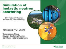 Simulation of Inelastic Neutron Scattering