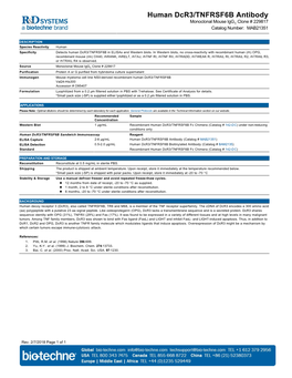 Human Dcr3/TNFRSF6B Antibody