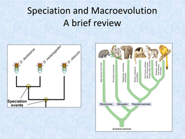 Speciation and Macroevolution a Brief Review Why Study Evolution?