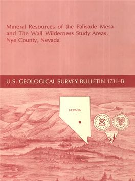 Mineral Resources of the Palisade Mesa and the Wall Wilderness Study Areas, Nye County, Nevada