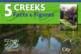 All About the Prospect Creek Catchment