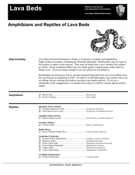 Amphibians and Reptiles of Lava Beds