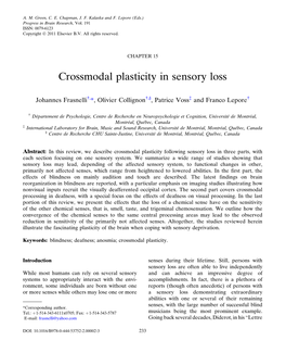 Crossmodal Plasticity in Sensory Loss