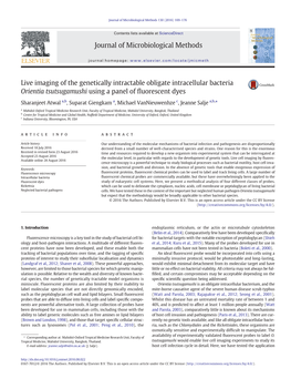 Live Imaging of the Genetically Intractable Obligate Intracellular Bacteria Orientia Tsutsugamushi Using a Panel of ﬂuorescent Dyes