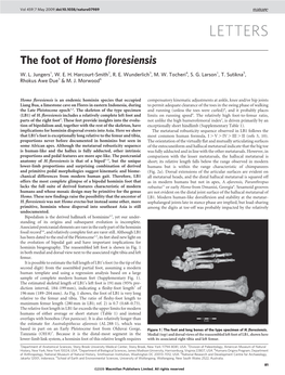 The Foot of Homo Floresiensis