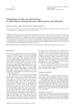 Morphology of Eggs and Spermatheca of Odontotarsus Purpureolineatus (Heteroptera, Scutelleridae)