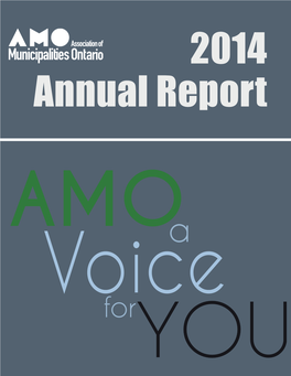 2014 AMO Annual Report