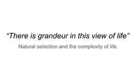 “There Is Grandeur in This View of Life” Natural Selection and the Complexity of Life Need Some Help?