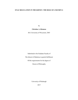 Enac Regulation in the Kidney: the Role of Ankyrin G