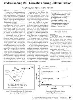 Understanding DBP Formation During Chloramination