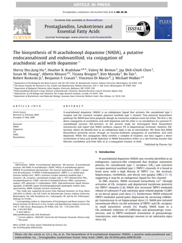 The Biosynthesis of N-Arachidonoyl Dopamine (NADA), a Putative Endocannabinoid and Endovanilloid, Via Conjugation of Arachidonic Acid with Dopamine$