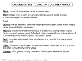 Cucurbitaceae – Gourd Or Cucumber Family