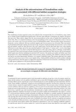 Analysis of the Microstructure of Xenodontinae Snake