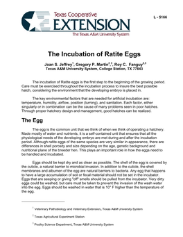 The Incubation of Ratite Eggs