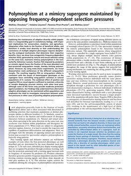 Polymorphism at a Mimicry Supergene Maintained by Opposing Frequency-Dependent Selection Pressures