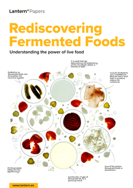 Rediscovering Fermented Foods Understanding the Power of Live Food