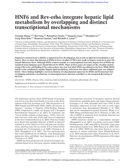 HNF6 and Rev-Erbα Integrate Hepatic Lipid Metabolism by Overlapping and Distinct Transcriptional Mechanisms