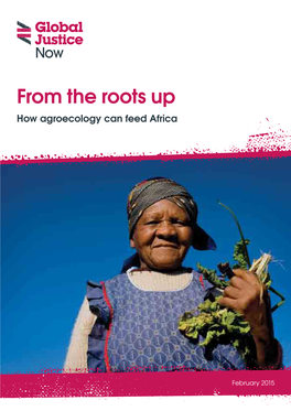 From the Roots Up. How Agroecology Can Feed Africa