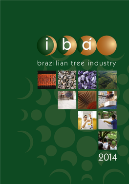 Iba 2014 En.Pdf